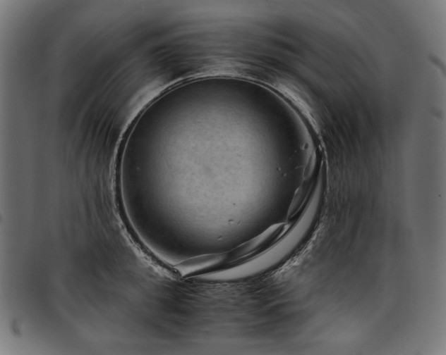 X0000095540949200712141522