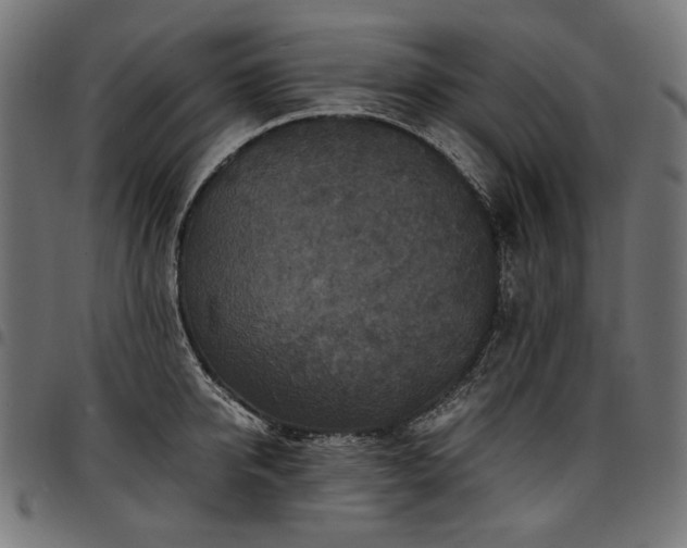 X0000095540950200712141522