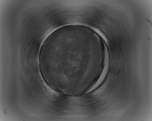 X0000095540951200712141522