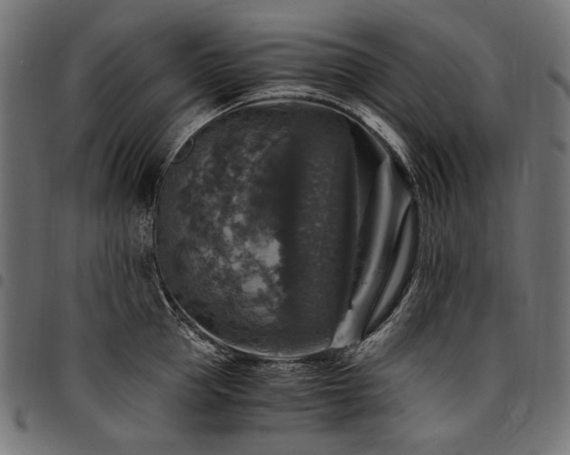 X0000095540953200712141522