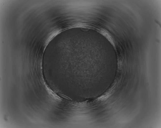 X0000095540954200712141522