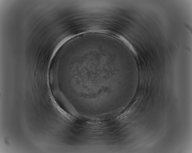 X0000095540955200712141522