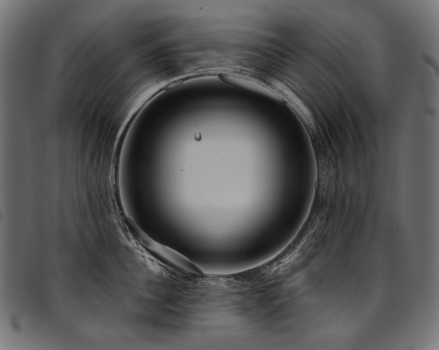 X0000095540956200712141522