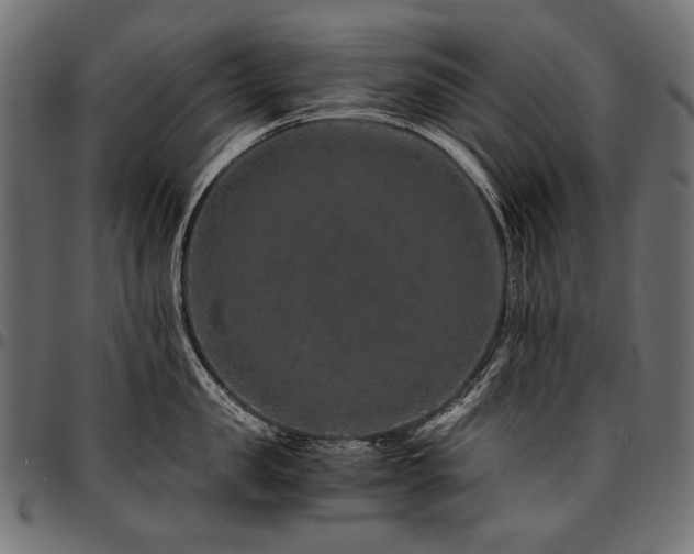 X0000095540957200712141522