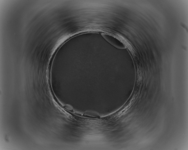 X0000095540958200712141522