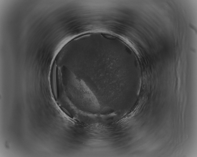 X0000095540959200712141522