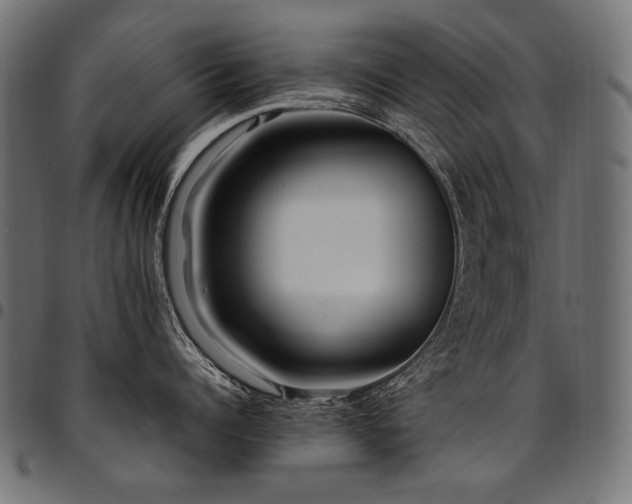 X0000095540960200712141522