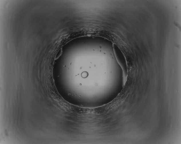 X0000095540961200712141521