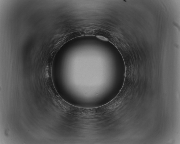 X0000095540962200712141521