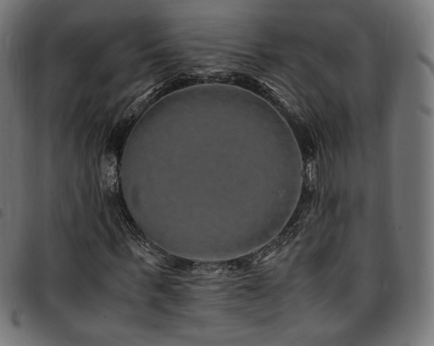 X0000095540963200712141521