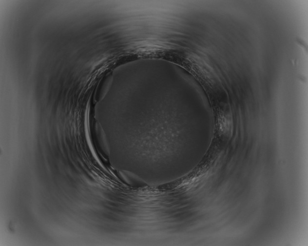 X0000095540964200712141521