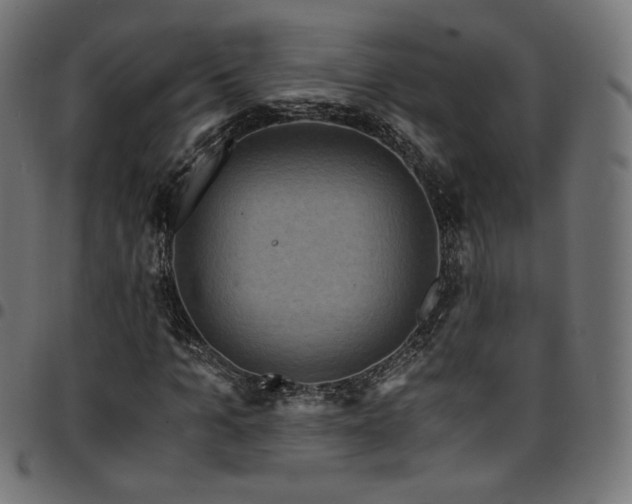 X0000095540965200712141521