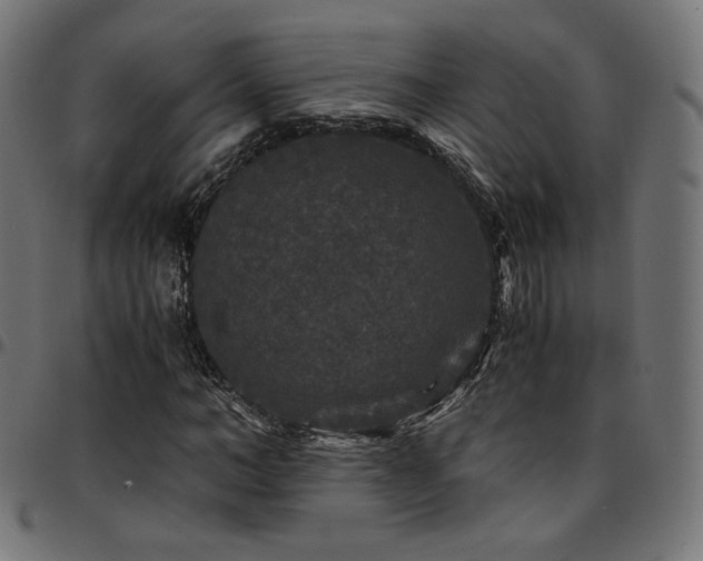 X0000095540966200712141521