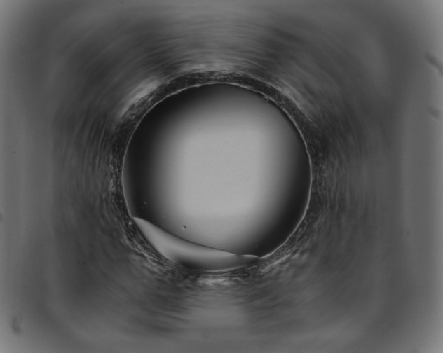 X0000095540967200712141521