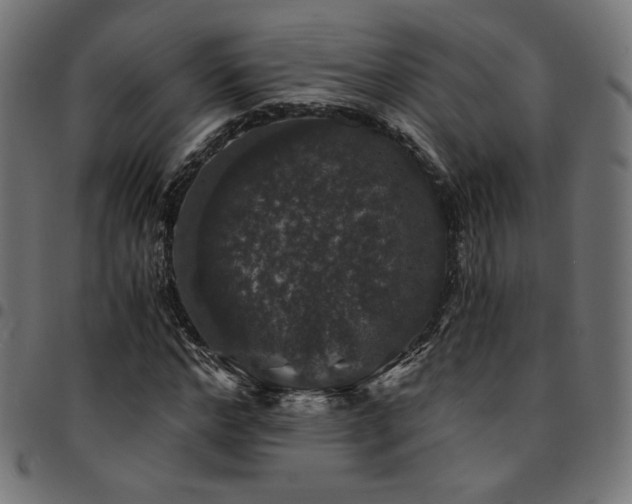 X0000095540968200712141521