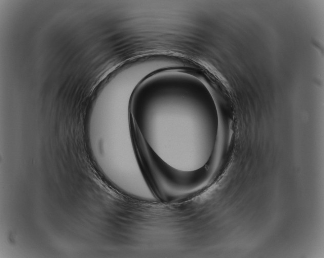 X0000095540969200712141521