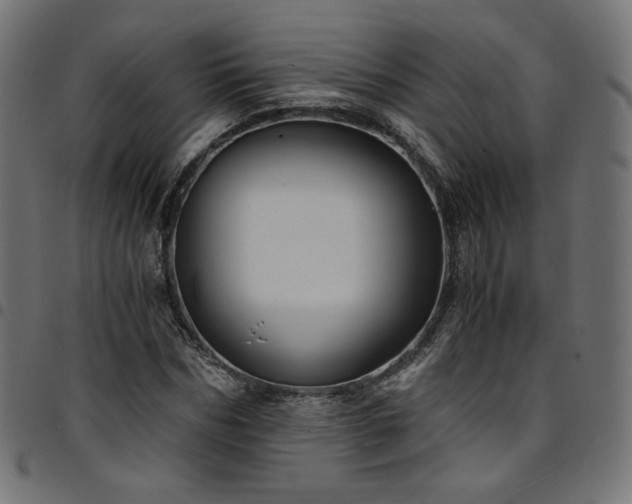 X0000095540970200712141521