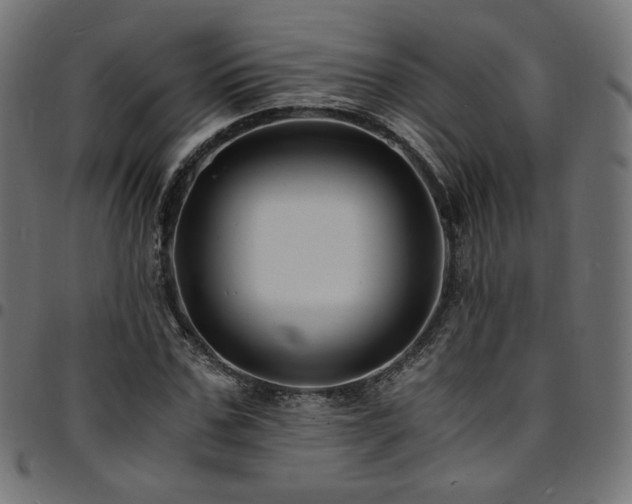 X0000095540971200712141521