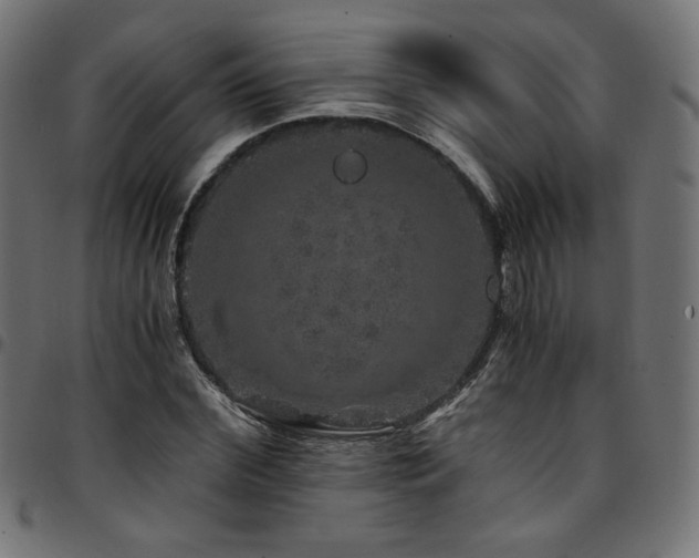 X0000095540972200712141521