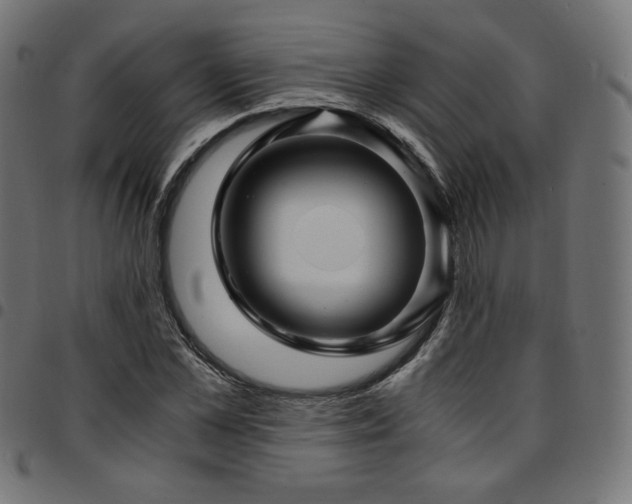 X0000095540973200712141521