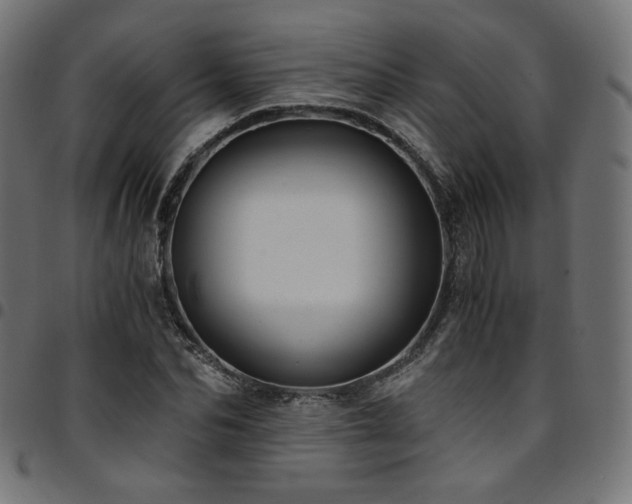 X0000095540974200712141521