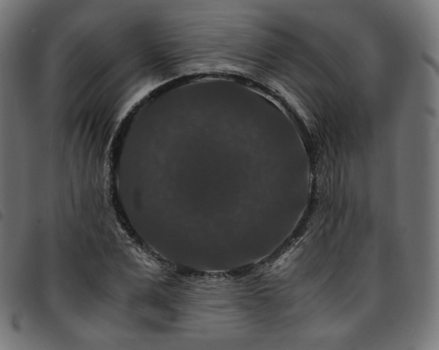 X0000095540975200712141521