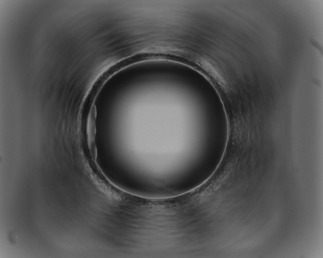 X0000095540976200712141521