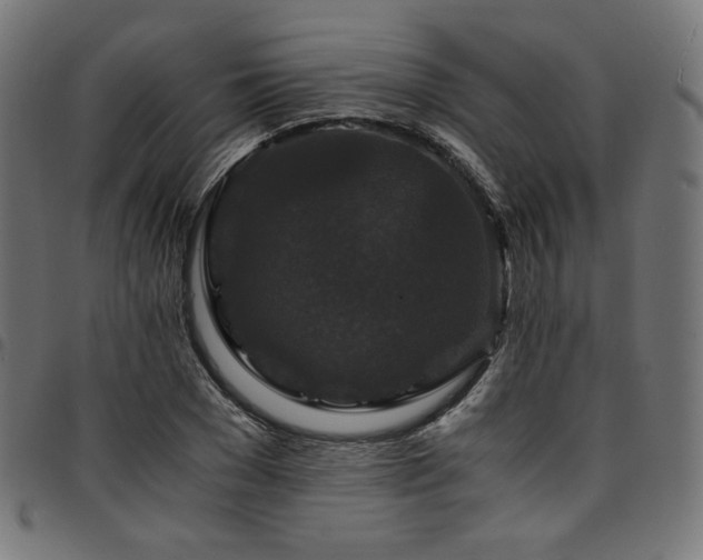 X0000095540977200712141521