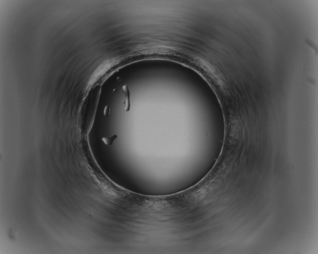 X0000095540978200712141521