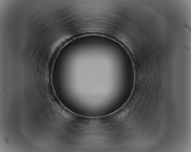 X0000095540979200712141521