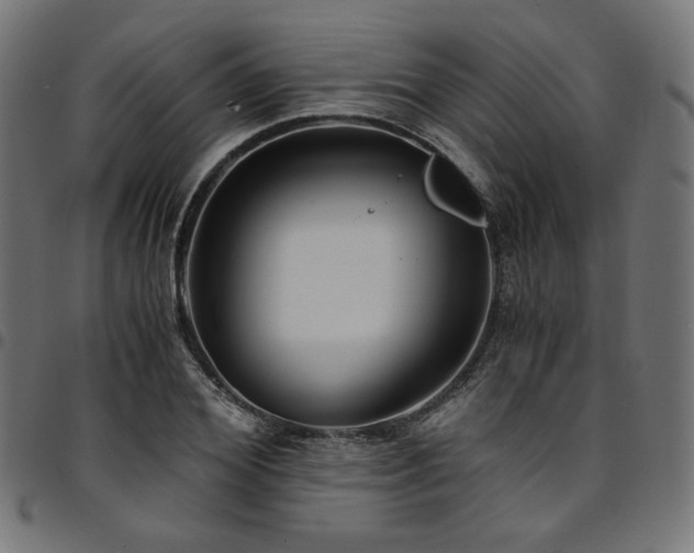 X0000095540980200712141521