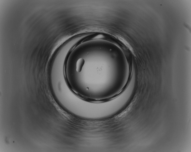 X0000095540981200712141521