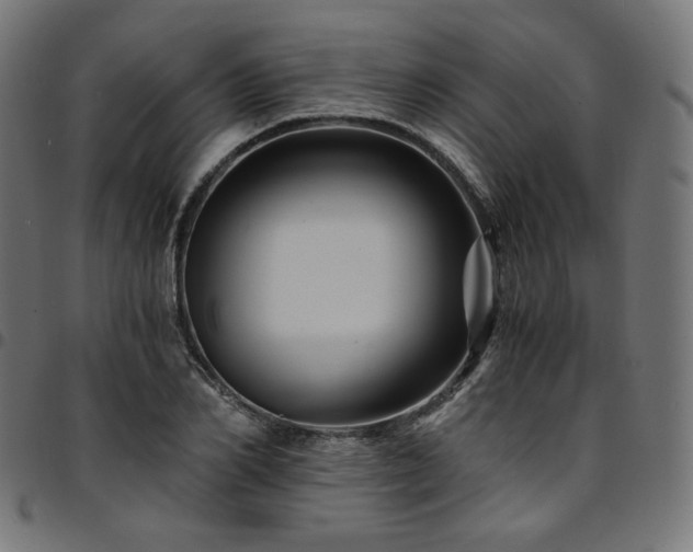 X0000095540982200712141521