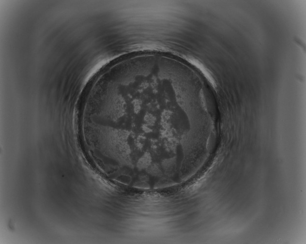 X0000095540983200712141521