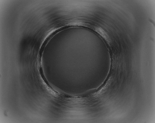 X0000095540984200712141521