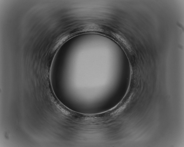 X0000095540985200712141521