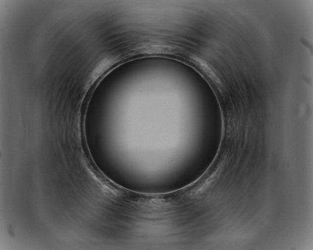 X0000095540986200712141521