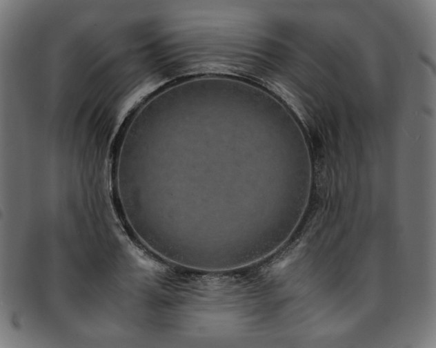 X0000095540987200712141521