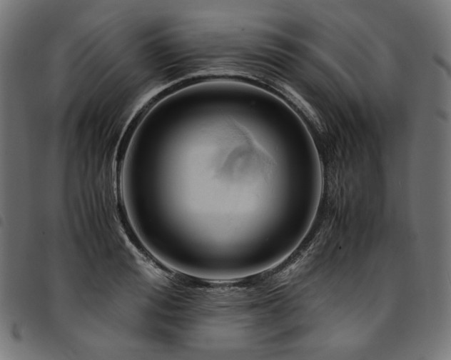 X0000095540988200712141521