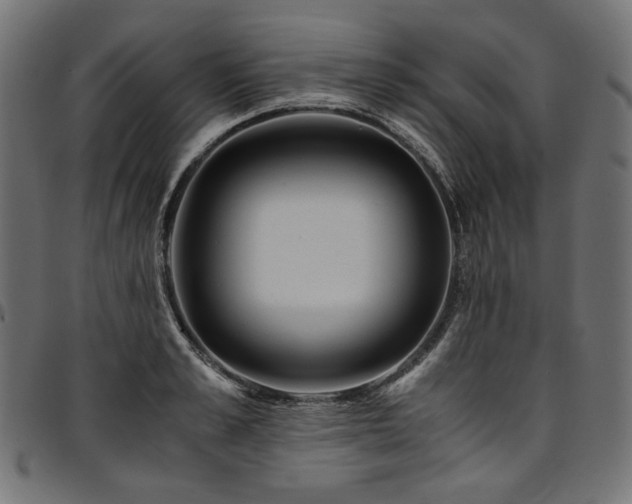 X0000095540989200712141521