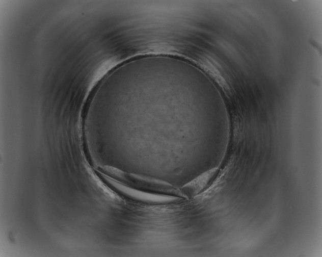 X0000095540990200712141521