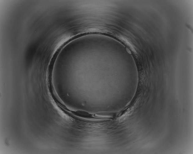 X0000095540991200712141521