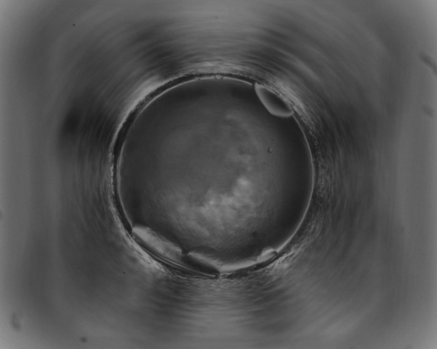 X0000095540992200712141520