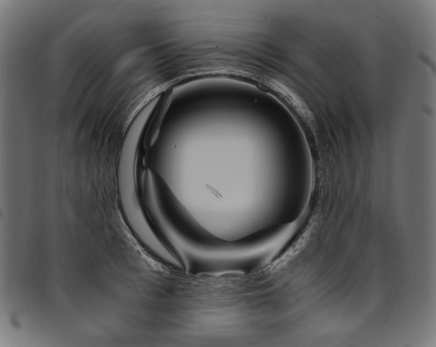 X0000095540993200712141520