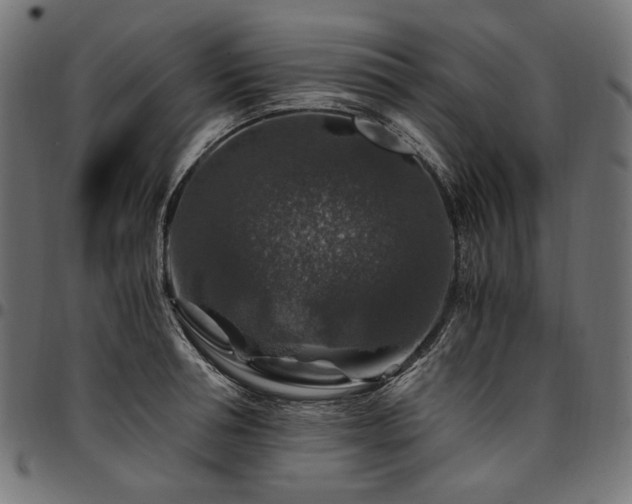 X0000095540994200712141520