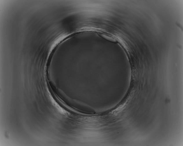 X0000095540995200712141520