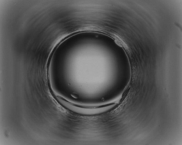 X0000095540996200712141520