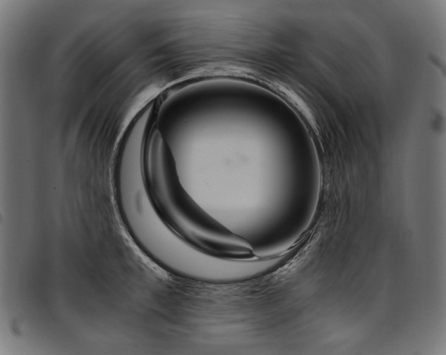 X0000095540997200712141520