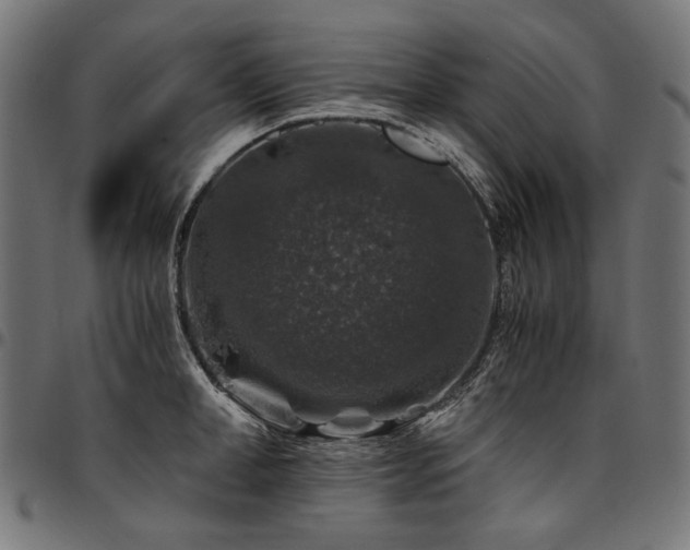 X0000095540998200712141520