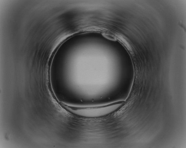 X0000095541000200712141520